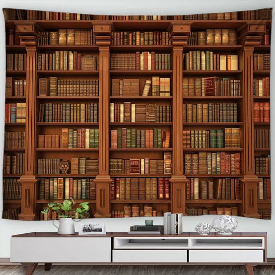 Ouverture de ma Bibliothèque